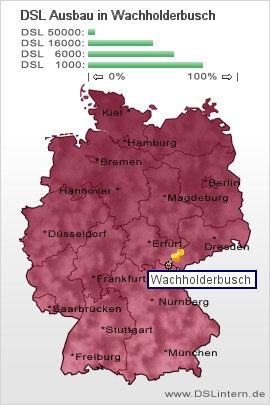 plz Wachholderbusch