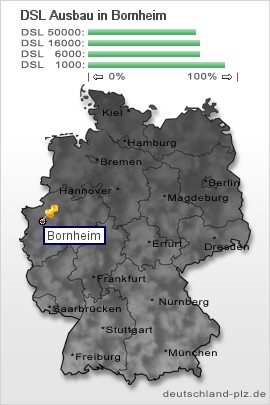 plz Bornheim