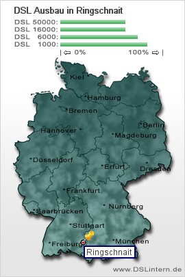 plz Ringschnait