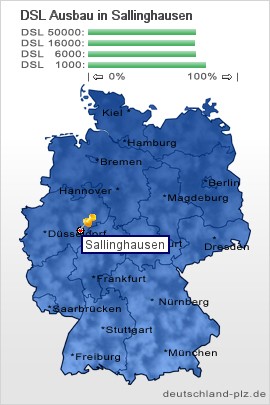 plz Sallinghausen